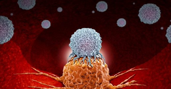 文献解读|Nat Commun（16.6）：空间分辨转录组学揭示弥漫性大 B 细