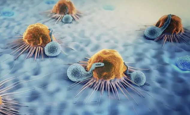 文献解读|Cell（64.5）：中性粒细胞分析阐明了抗肿瘤抗原呈递效力