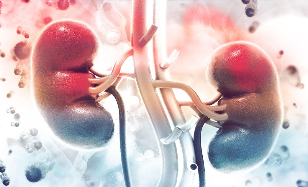 文献解读|Cell Metab（29.0）：转录组学、表观基因组学和空间代谢组学