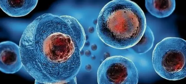 文献解读|Cell Rep Med（14.3）：使用模拟内源细胞转变的代谢物进行