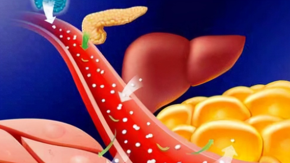 文献解读|Nat Commun（16.6）：狄氏副拟杆菌通过激活肠道 GPR10