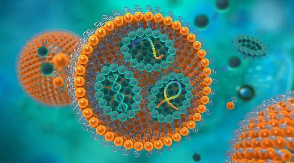 文献解读|Nat Cell Biol（21.30）：低输入脂质组学揭示早期哺乳动