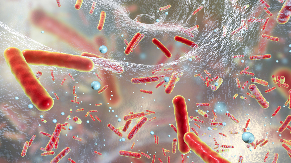 文献解读|Nat Microbiol（28.3）：409 个细菌-药物对的高通量