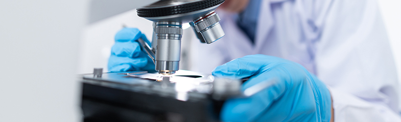 投注平台app下载