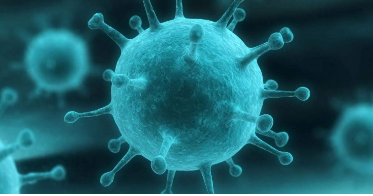 文献解读|Nat Commun（14.7）：地塞米松对重症 COVID-19 患