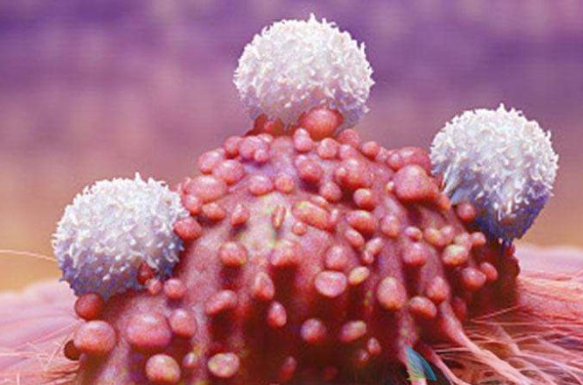 文献解读|Nat Cancer（22.7）：中国人群乳腺癌的综合多组学分析揭示了