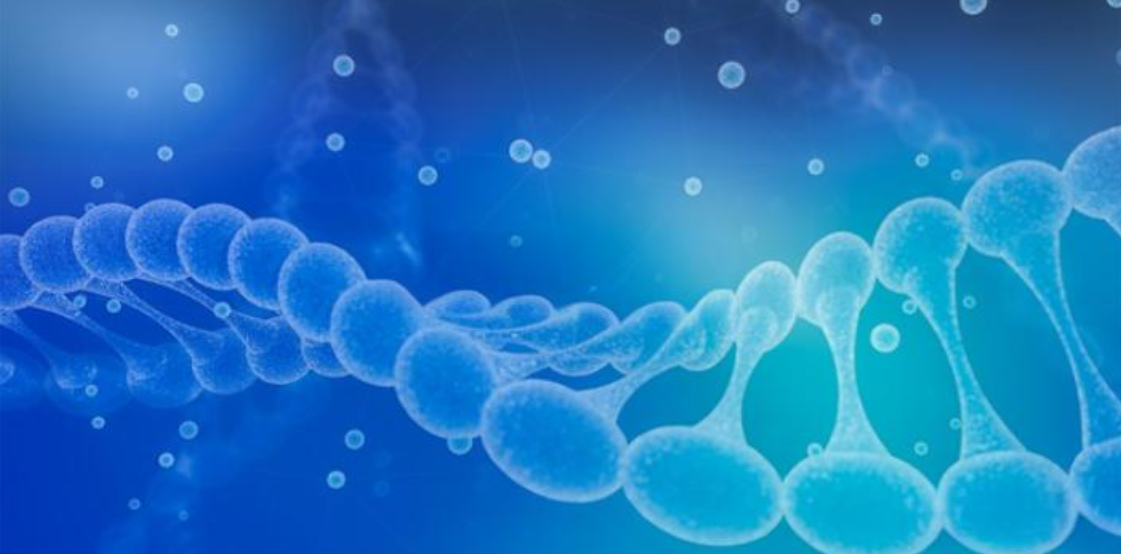 文献解读|Nat Commun（14.7）：小鼠从婴儿期到成年期的多器官蛋白质组