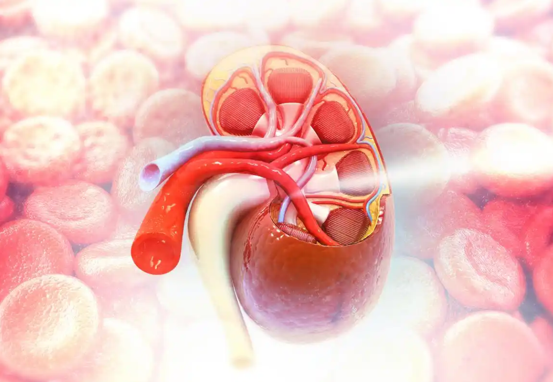 文献解读|Nat Genet（30.8）：透明细胞肾细胞癌的多组学分析确定与疾病