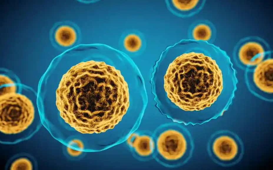 文献解读|Nat Metab（20.8）：导致 3-磷酸甘油和磷酸乙醇胺积累的稳