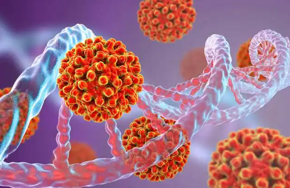 文献解读|J Hepatol（25.7）：FASN介导的脂肪酸生物合成重塑华支睾