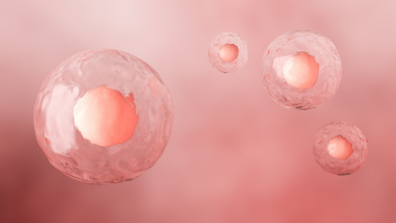 文献解读|Nat Aging（16.6）：人卵巢衰老的时空转录组变化及FOXP1