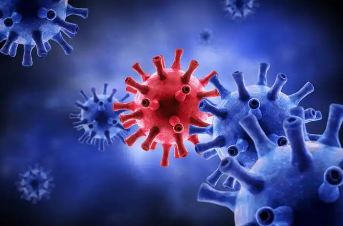 文献解读|Cell Rep Med（14.3）：母体 SARS-CoV-2 感染