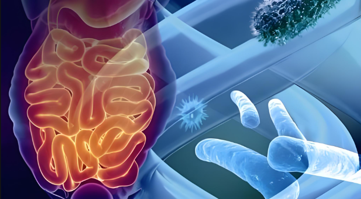 文献解读|Microbiome（15.5）：肠道菌群失调通过补体 C3 介导的小