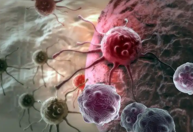 文献解读|Cell Rep Med（14.3）：多组学分析揭示皮肤 T 细胞淋巴