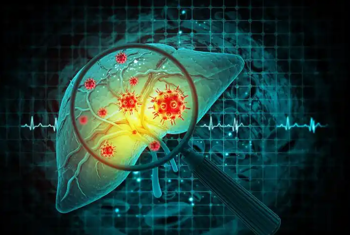 文献解读|Nat Commun（14.7）：人类肝脏昼夜转录组图谱及其受丙型肝炎