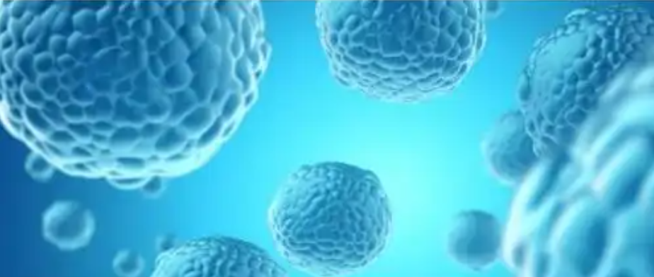 文献解读|Sci Immunol（24.8）：对肿瘤浸润淋巴细胞过继治疗的反应与