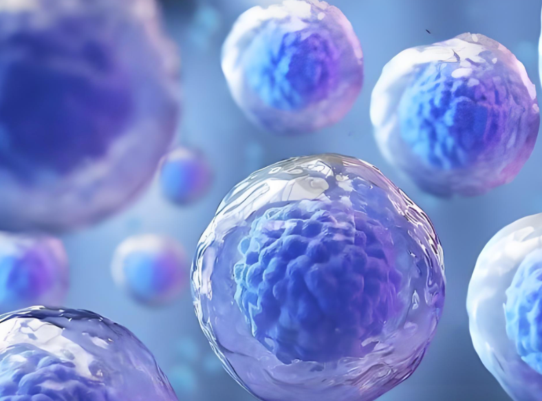 文献解读|Genome Med（10.4）：空间多组学揭示了与人类肝细胞癌癌症干