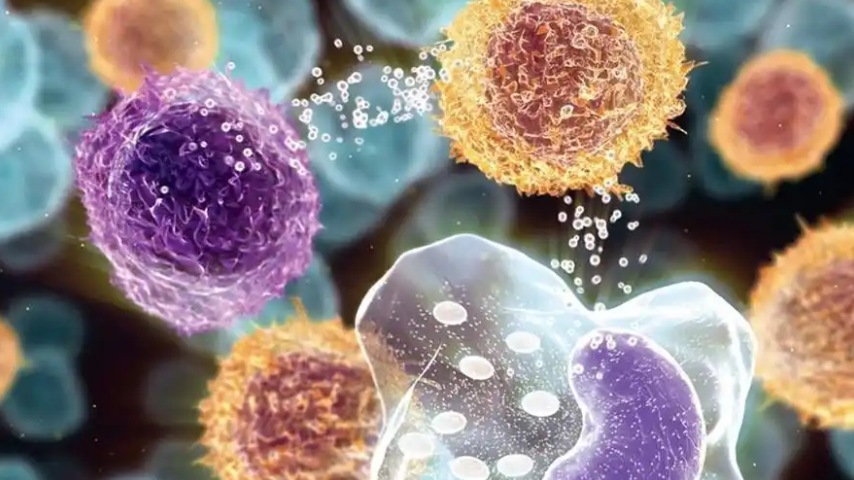 文献解读|Cancer Cell（50.3）：综合分子和空间分析揭示了原位和侵袭