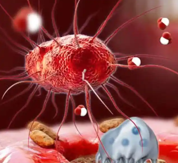 文献解读|Nat Commun（16.6）：牙周炎中牙齿相关角质形成细胞的单细胞