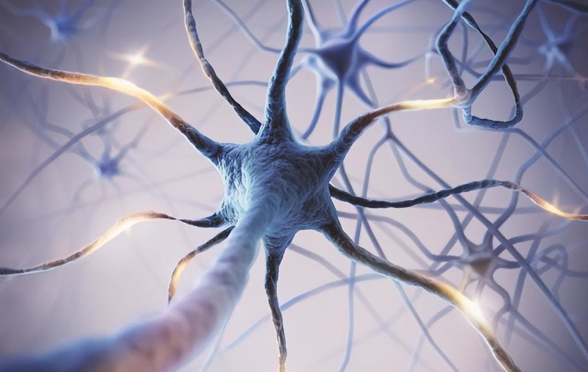 文献解读|Nat Commun（16.6）：太空飞行对小鼠神经元影响的空间分辨多