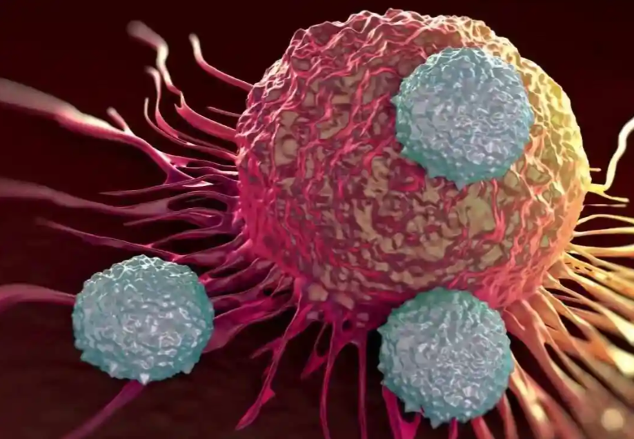 文献解读|Adv Sci（14.3）：口腔黏膜下纤维化衍生的口腔鳞状细胞癌及其肿