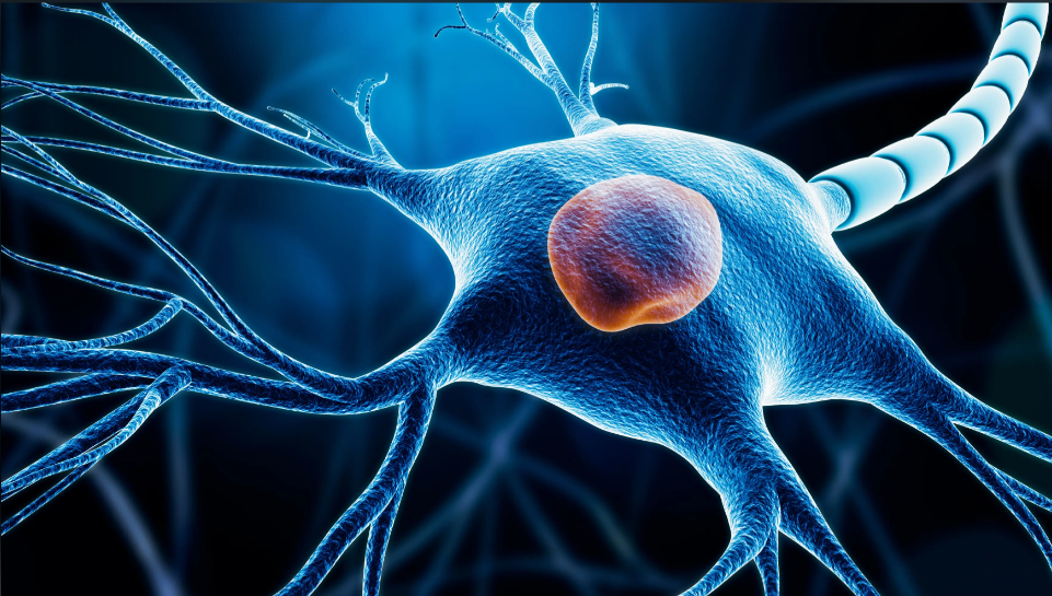 文献解读|Nat Cell Biol（17.3）：三维染色质重组调节衰老过程中的