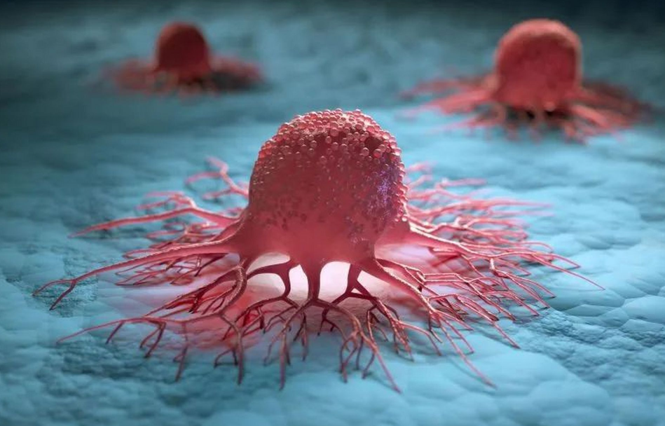 文献解读|Science（44.7）：JAK 抑制和 PD-1 免疫治疗联合治疗