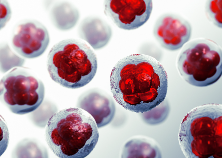 文献解读|Nature（50.5）：心脏、血液和肿瘤检查点心肌炎的免疫反应