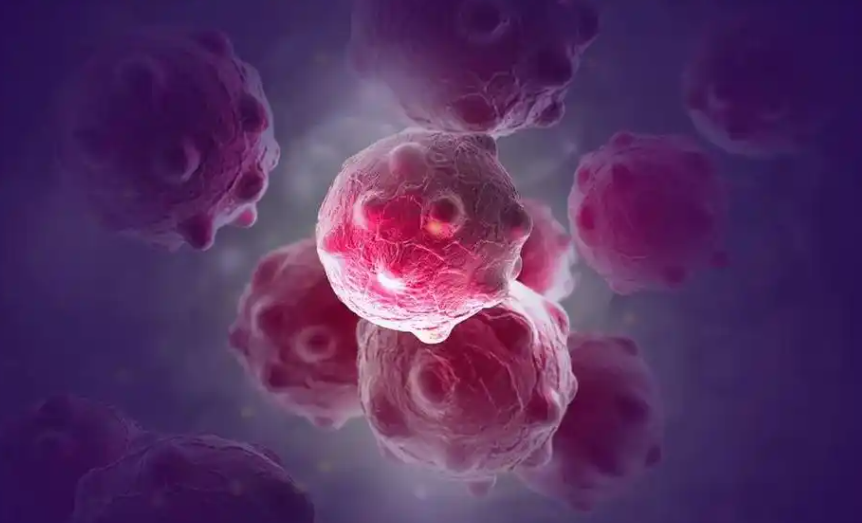 文献解读|Sci Adv（11.7）：多复发性脑膜瘤的多组学和临床分析揭示了风险