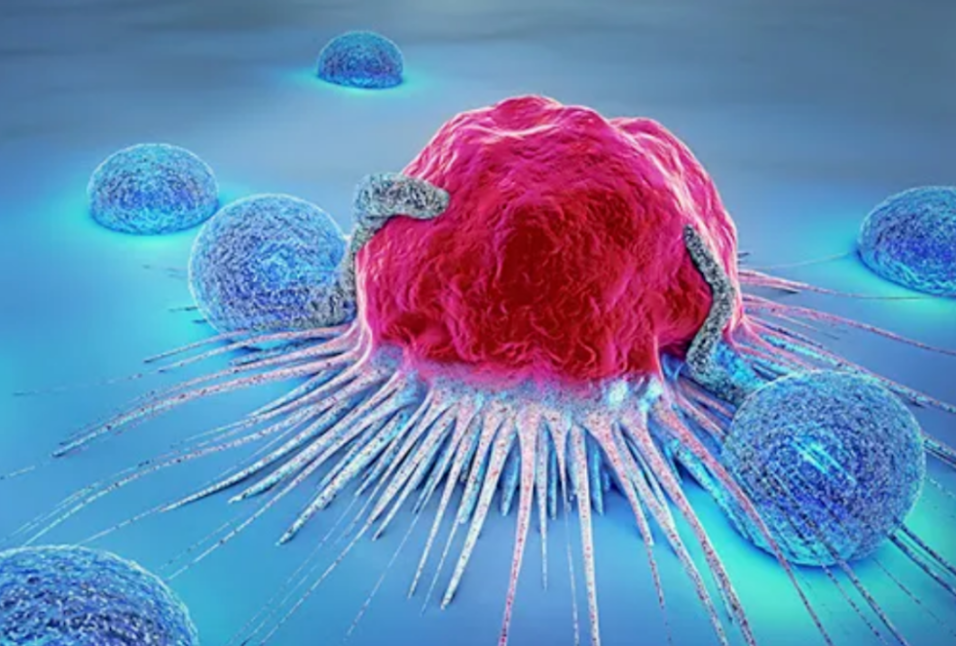 文献解读|Cancer Cell（48.8）：表面蛋白质组研究确定 DLK1 是