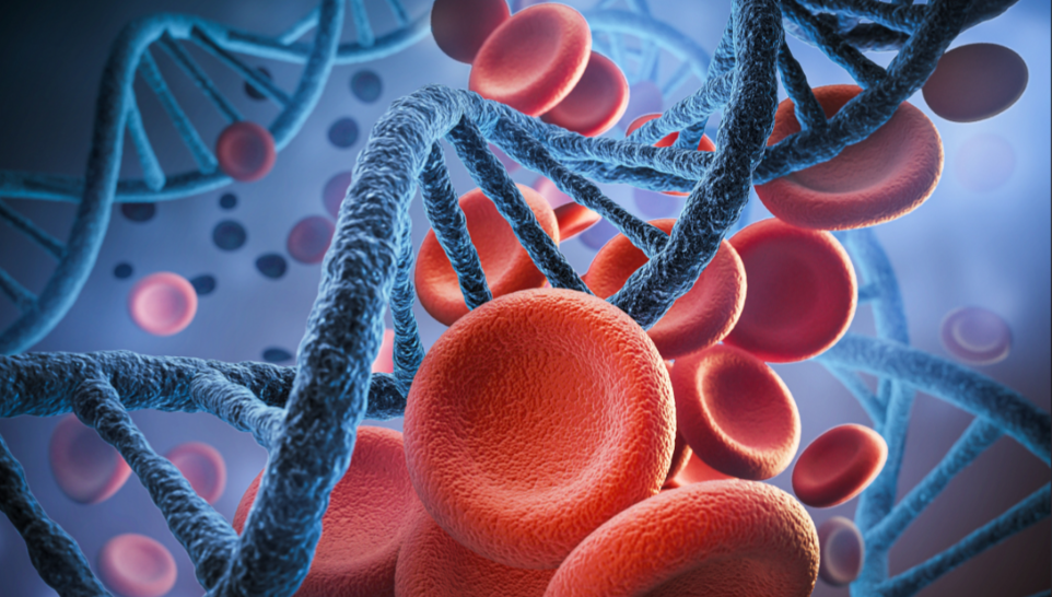 文献解读|Science（44.7）：哺乳动物衰老过程中细胞群体动态的全景