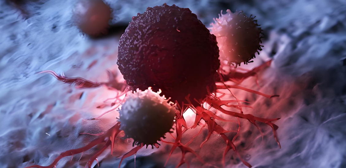 文献解读|Nat Commun（14.7）：患者来源的胶质瘤细胞系的多组学和药理