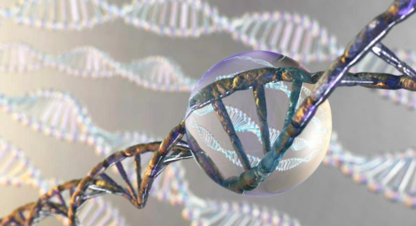 文献解读|Science（44.7）：转录组范围的剪接网络揭示了核心剪接体的特殊
