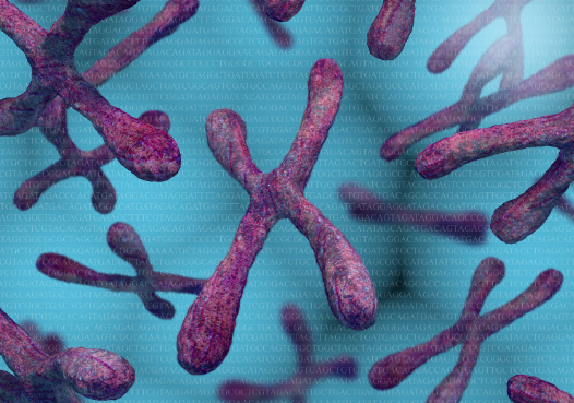 文献解读|Sci Adv（11.7）：唐氏综合征的免疫代谢相互作用的综合分析