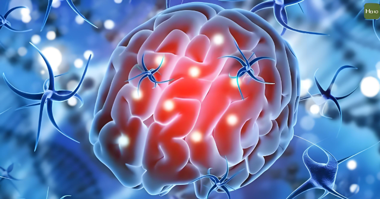 文献解读|Nature（50.5）：人类新皮层发育的分子和细胞动力学