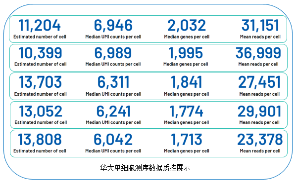 行业都劝你提核？ 我们偏让肝脏单细胞‘活’出满分答卷！