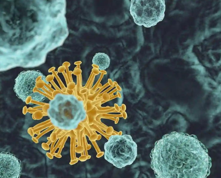 谁劝你放弃肠道单细胞？ 开泰用80%的活率改写规则！