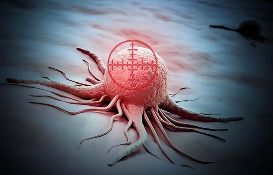 文献解读|Nat Commun（14.7）：蛋白质组学分析可识别具有独特生物学和