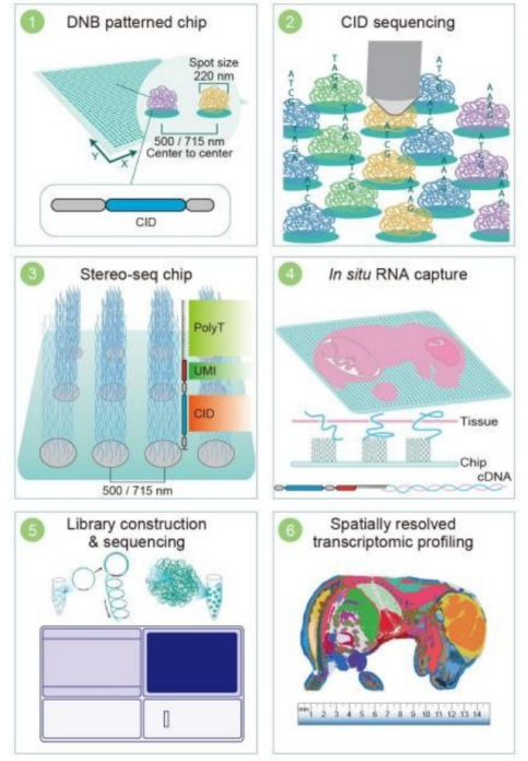 投注平台app下载