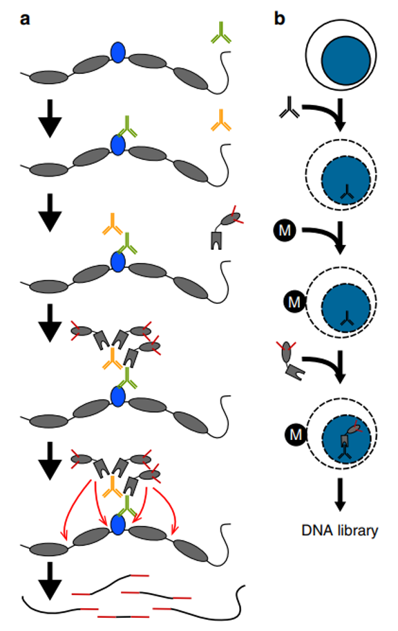 投注平台app下载