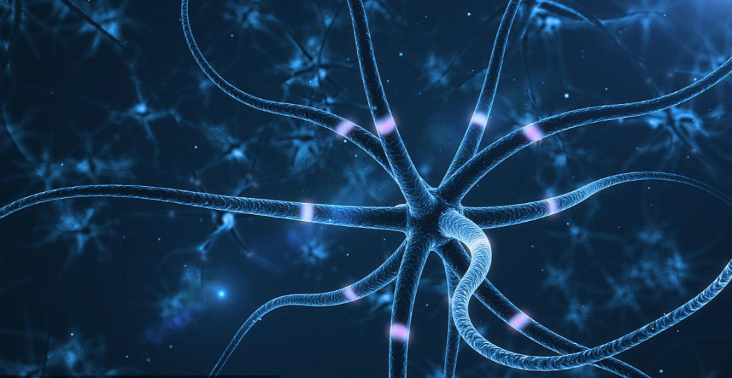 文献解读|Neuron（14.7）：综合多组学分析揭示人类唐氏综合症患者大脑中保