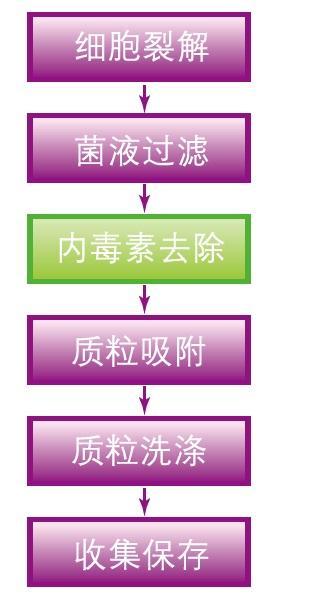 投注平台app下载