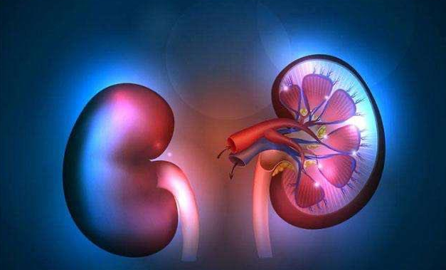 文献解读|Nat Commun（14.7）：FH缺陷型肾细胞癌的全面分子分析可确