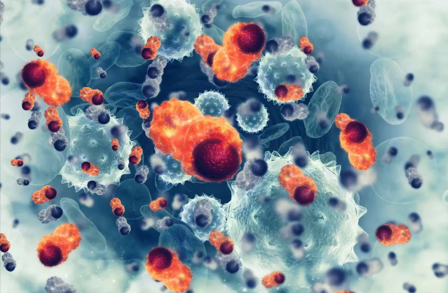 文献解读|Nat Immunol（27.7）：将单细胞 RNA 和 T 细胞/B