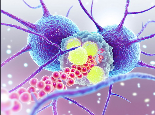 文献解读|Nat Genet（31.7）：早期膀胱癌的全面基因组表征