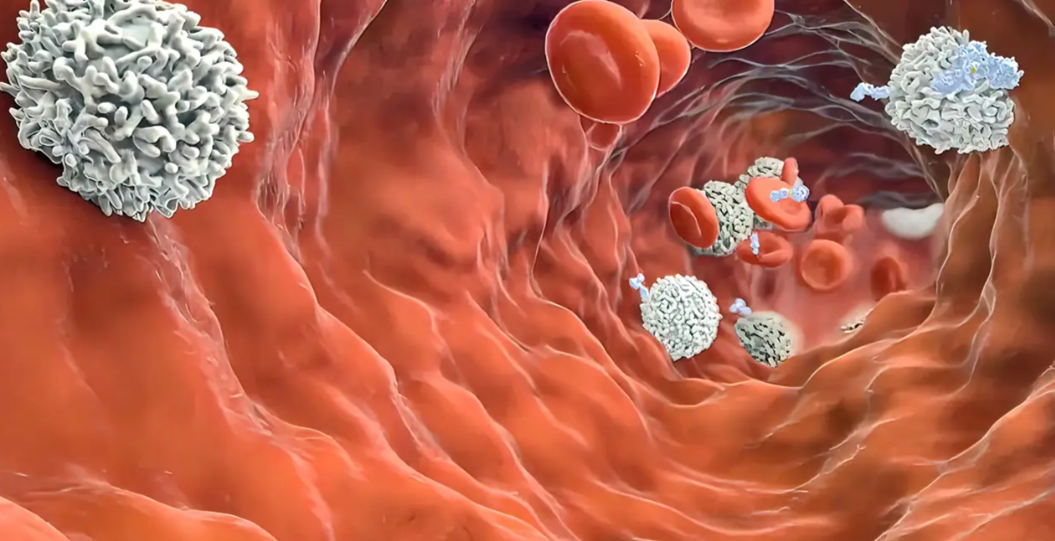 文献解读 |Cell Rep Med （ 10.6 ）：肿瘤免疫微环境描绘了不同