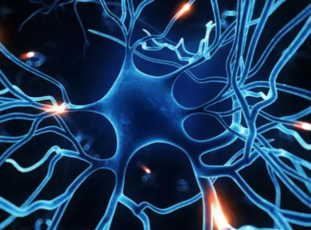 文献解读|Nature（48.5）：创伤后应激障碍患者脑单细胞转录组和染色质动力