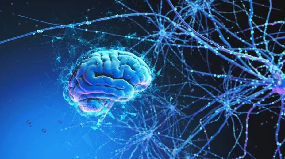 文献解读|Nat Med（50）：APOE ε4 携带者在神经退行性疾病中均存在