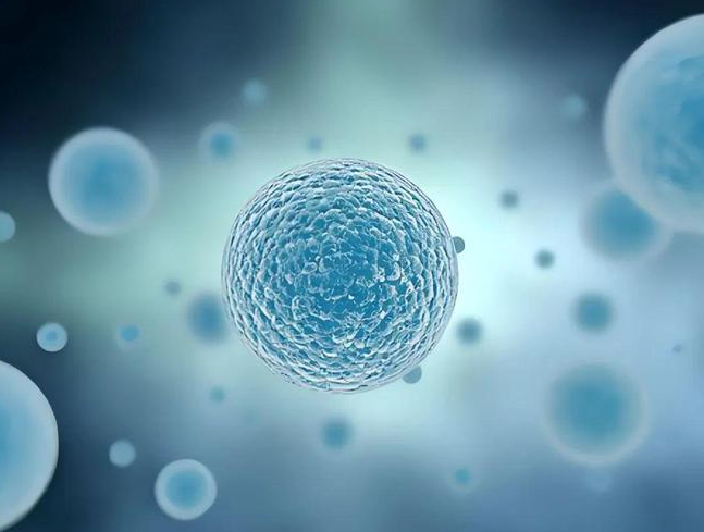 文献解读|Nat Genet（29）：单细胞和空间转录组学揭示复发性鼻咽癌的放射