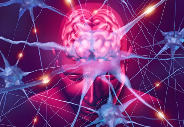 文献解读|Nat Commun（14.7）：临床生酮饮食中的膳食纤维含量会改变小